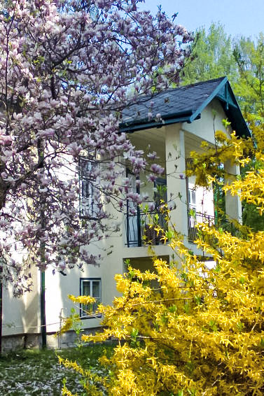 Ferienhaus Villa Wienerwald (360145), Untertullnerbach, Industrieviertel, Niederösterreich, Österreich, Bild 5