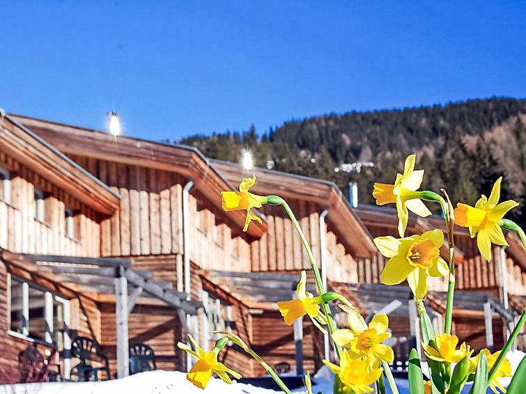 Ferienhaus Feriendorf Hohentauern (308307), Hohentauern, Murtal, Steiermark, Österreich, Bild 12