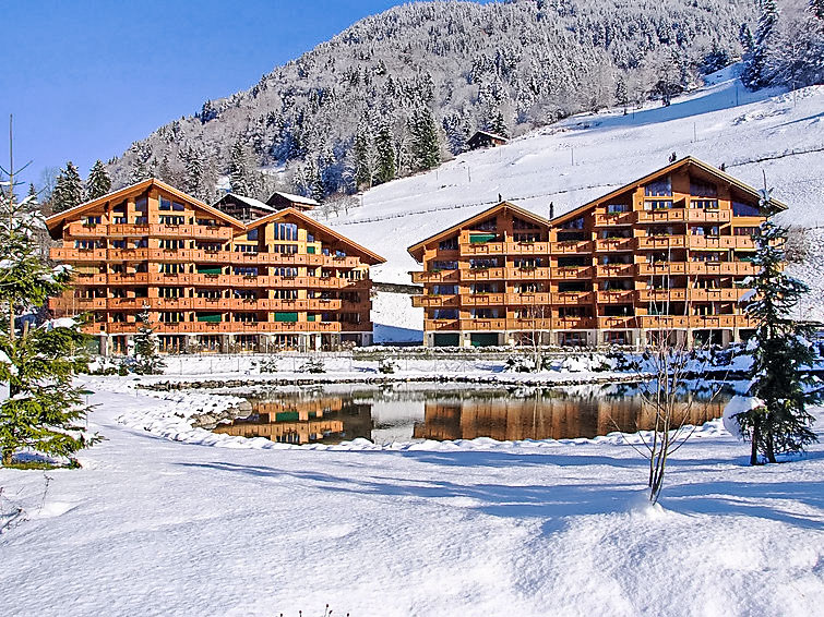 Ferienwohnung Thermes Parc (337651), Val-d'Illiez, Portes du Soleil - Val d'Illiez, Wallis, Schweiz, Bild 10