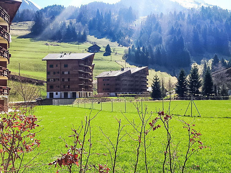 Ferienwohnung Thermes Parc (337651), Val-d'Illiez, Portes du Soleil - Val d'Illiez, Wallis, Schweiz, Bild 8