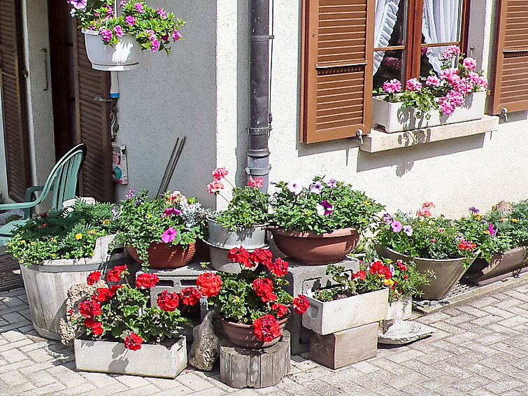 Ferienwohnung Staad 2 (358819), Düdingen, , Freiburg, Schweiz, Bild 15