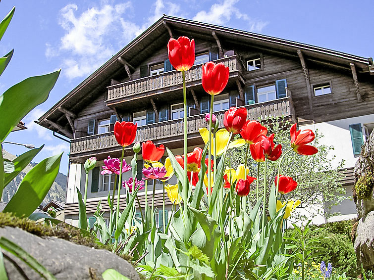 Ferienwohnung Sternen (681481), Lenk im Simmental, Simmental, Berner Oberland, Schweiz, Bild 1