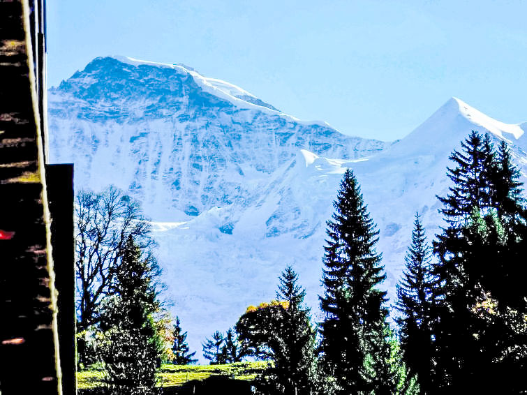 Ferienwohnung Breithorn-Residence (841172), Wengen, Jungfrauregion, Berner Oberland, Schweiz, Bild 11