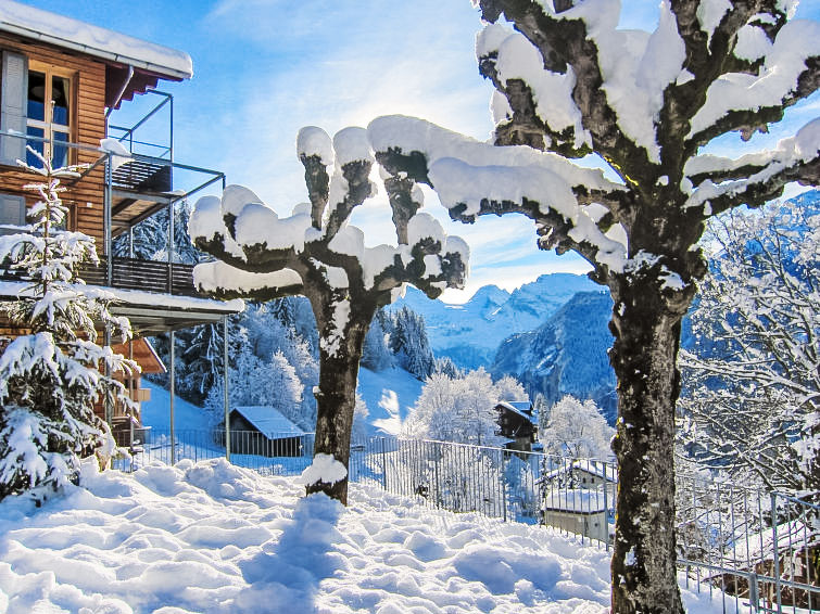 Ferienwohnung Breithorn-Residence (841172), Wengen, Jungfrauregion, Berner Oberland, Schweiz, Bild 13