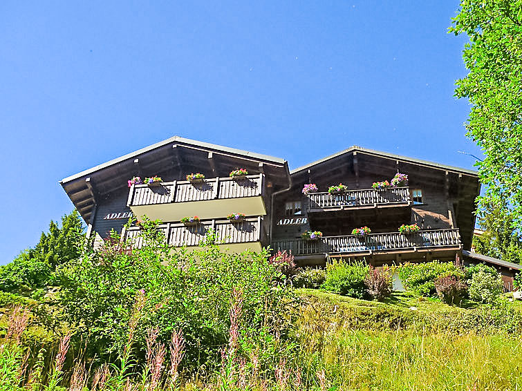 Ferienwohnung Adler (363861), Bettmeralp, Aletsch - Goms, Wallis, Schweiz, Bild 10