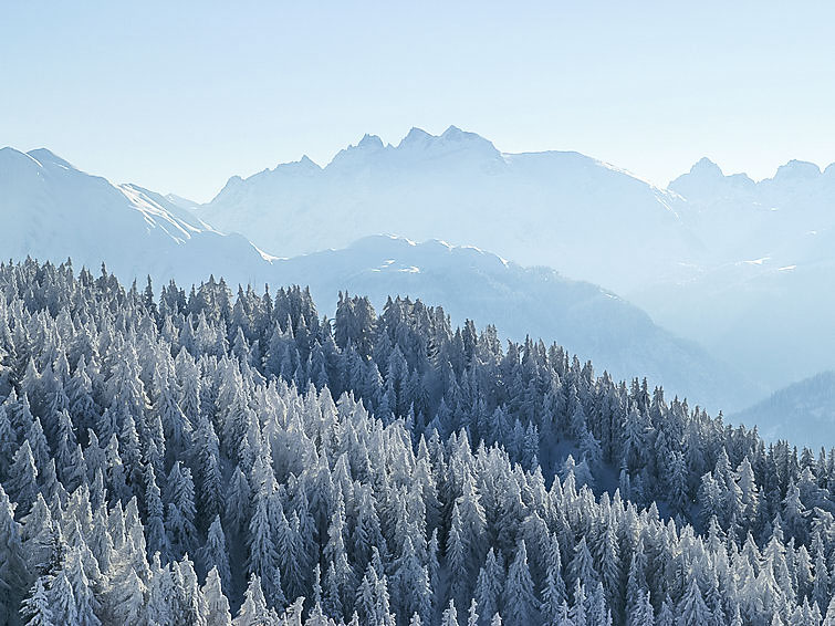 Ferienwohnung Adler (363861), Bettmeralp, Aletsch - Goms, Wallis, Schweiz, Bild 17