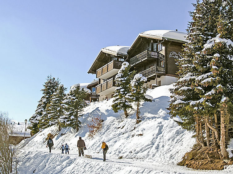 Ferienwohnung Adler (363861), Bettmeralp, Aletsch - Goms, Wallis, Schweiz, Bild 21