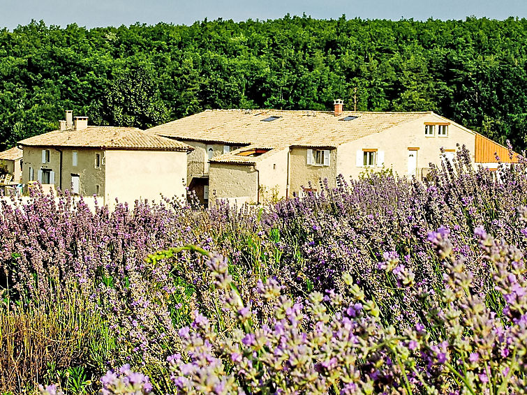 Ferienhaus Aubignane La bergerie de Panturle (734347), Banon, Alpes-de-Haute-Provence, Provence - Alpen - Côte d'Azur, Frankreich, Bild 16