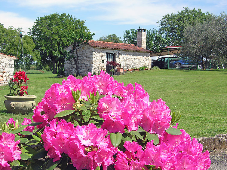 Ferienwohnung Umag (497721), Umag, , Istrien, Kroatien, Bild 17