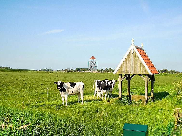 Ferienhaus Klein Dijkrijk (1518494), Warmenhuizen, , Nordholland, Niederlande, Bild 6