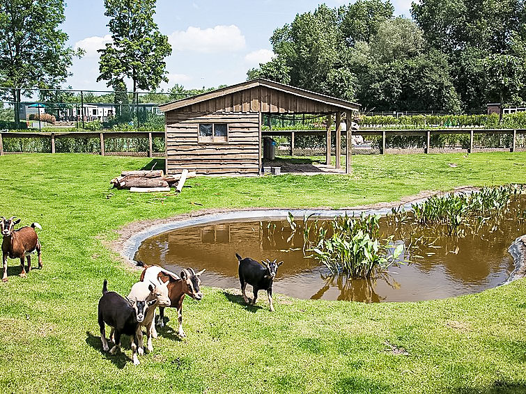 Ferienhaus Europarcs R & W De Biesbosch (430659), Willemsdorp, , Südholland, Niederlande, Bild 15