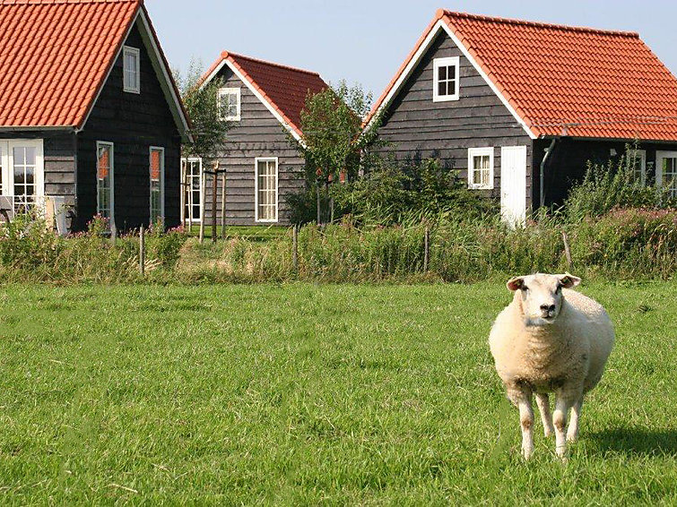 Ferienhaus De Stelhoeve (760639), Wemeldinge, , Seeland, Niederlande, Bild 4