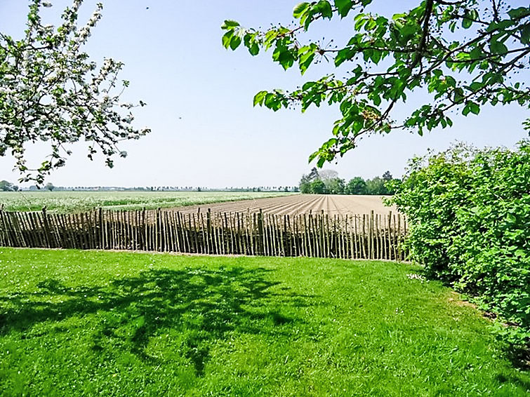 Ferienhaus Boerenwoning (763197), IJzendijke, , Seeland, Niederlande, Bild 5