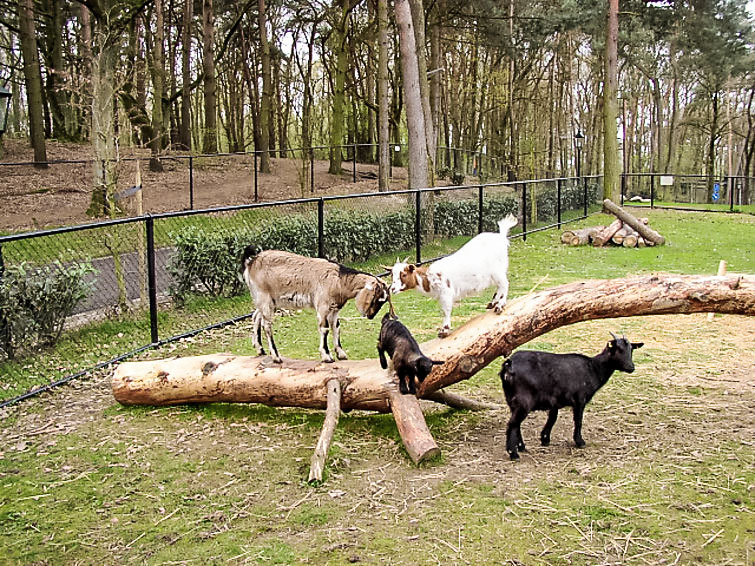 Ferienhaus Europarcs Landgoed Brunssheim (419282), Brunssum, , Limburg (NL), Niederlande, Bild 3