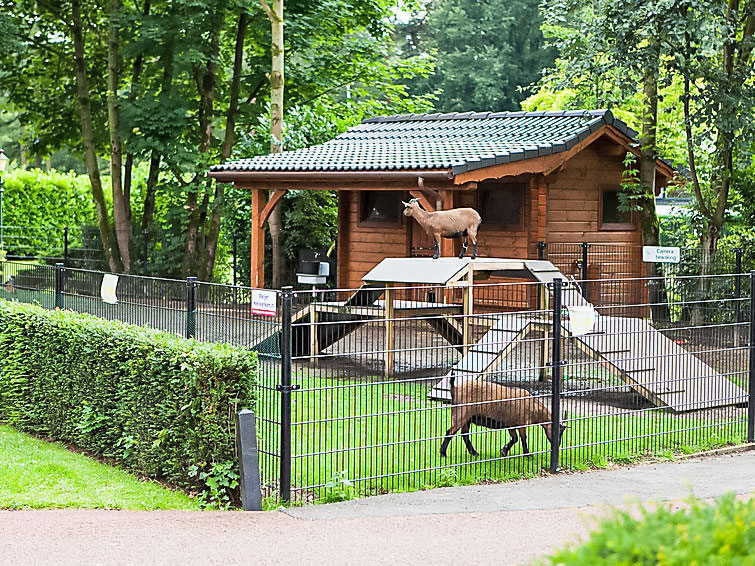 Ferienhaus Europarcs Landgoed Ruighenrode (411021), Lochem, , Gelderland, Niederlande, Bild 13