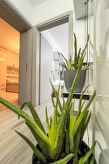 Modern appartement in centrum Tirana voor 6 personen, 95 m² - thumbnail 5