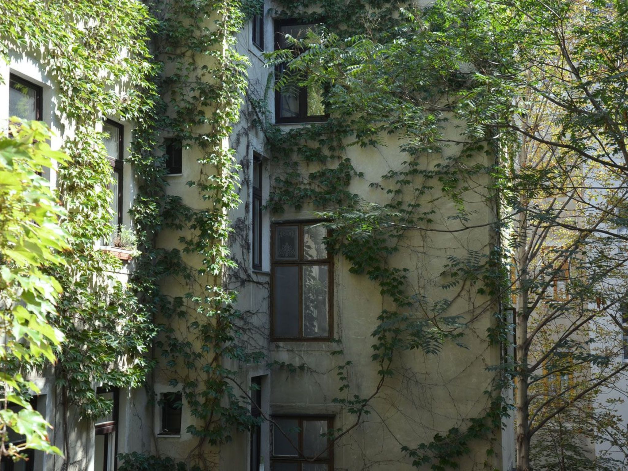 Vienna1090-Image-tags.info