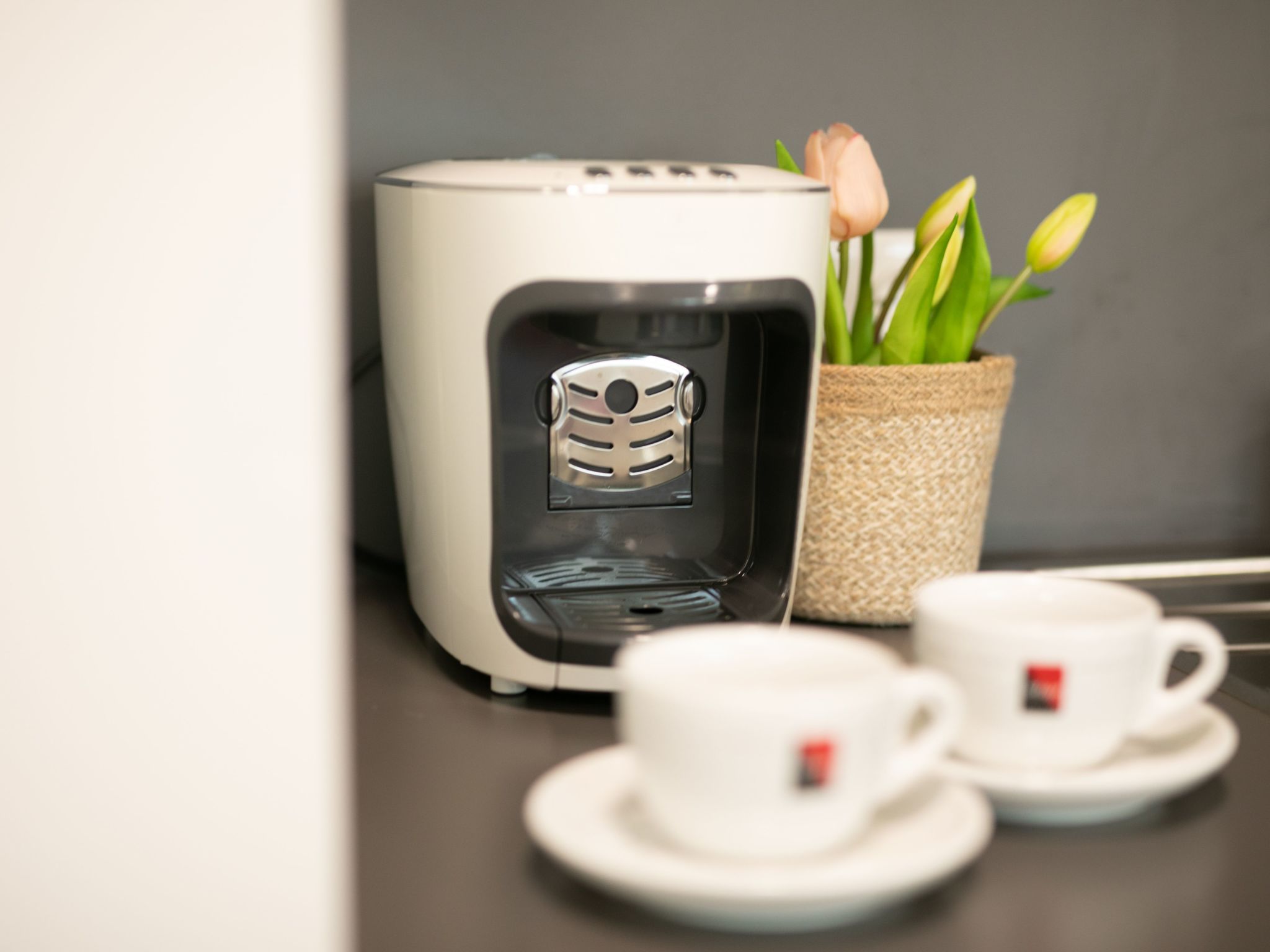 Moderne Wohnung in Kaisermühlen mit Garten und Panoramablick-Image-tags.info