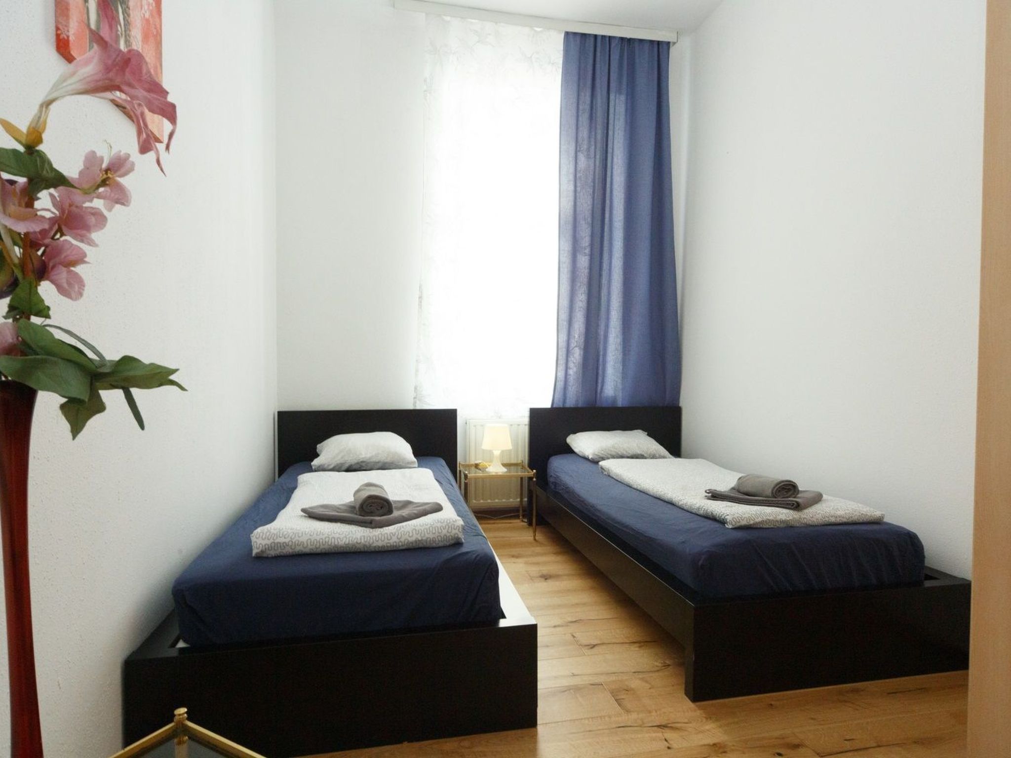 No 3 nahe Schönbrunn-Image-tags.info