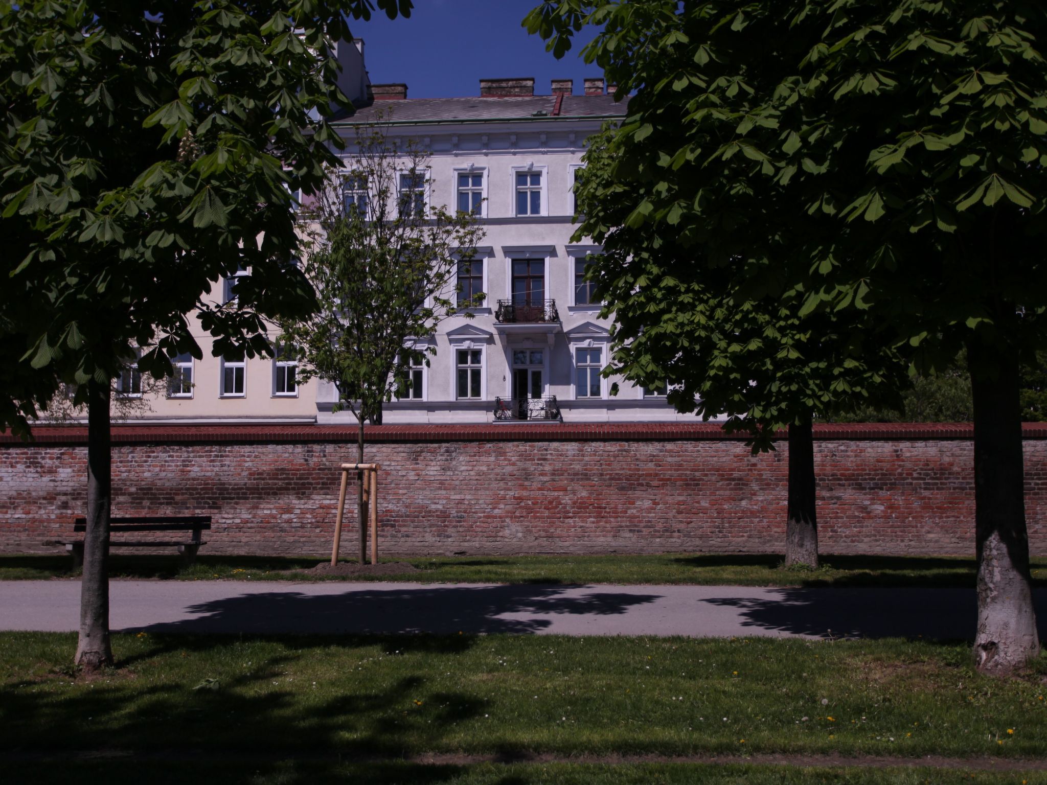 Sonnige Wohnung-Binnen