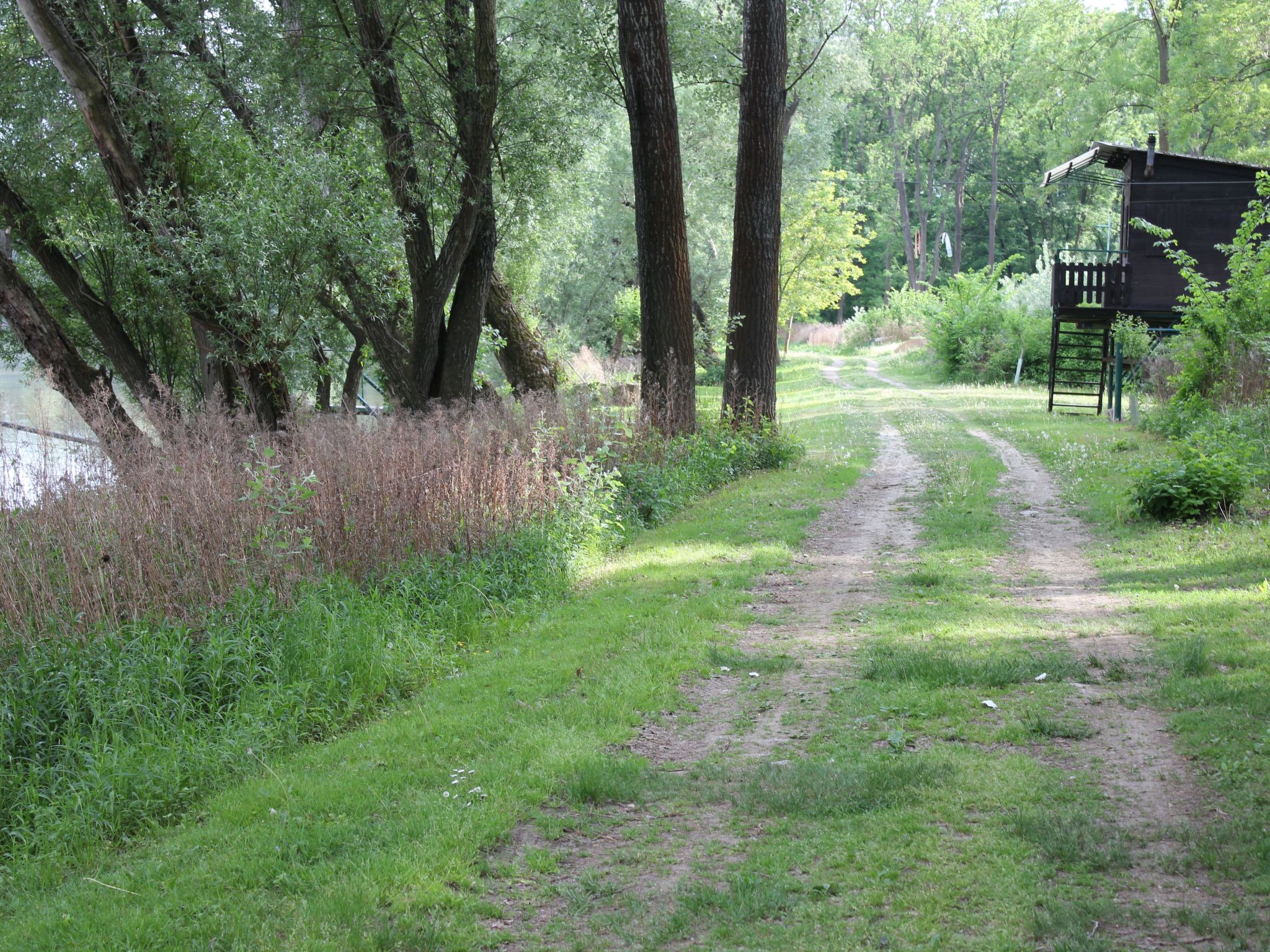 In Angern an der March-Buiten