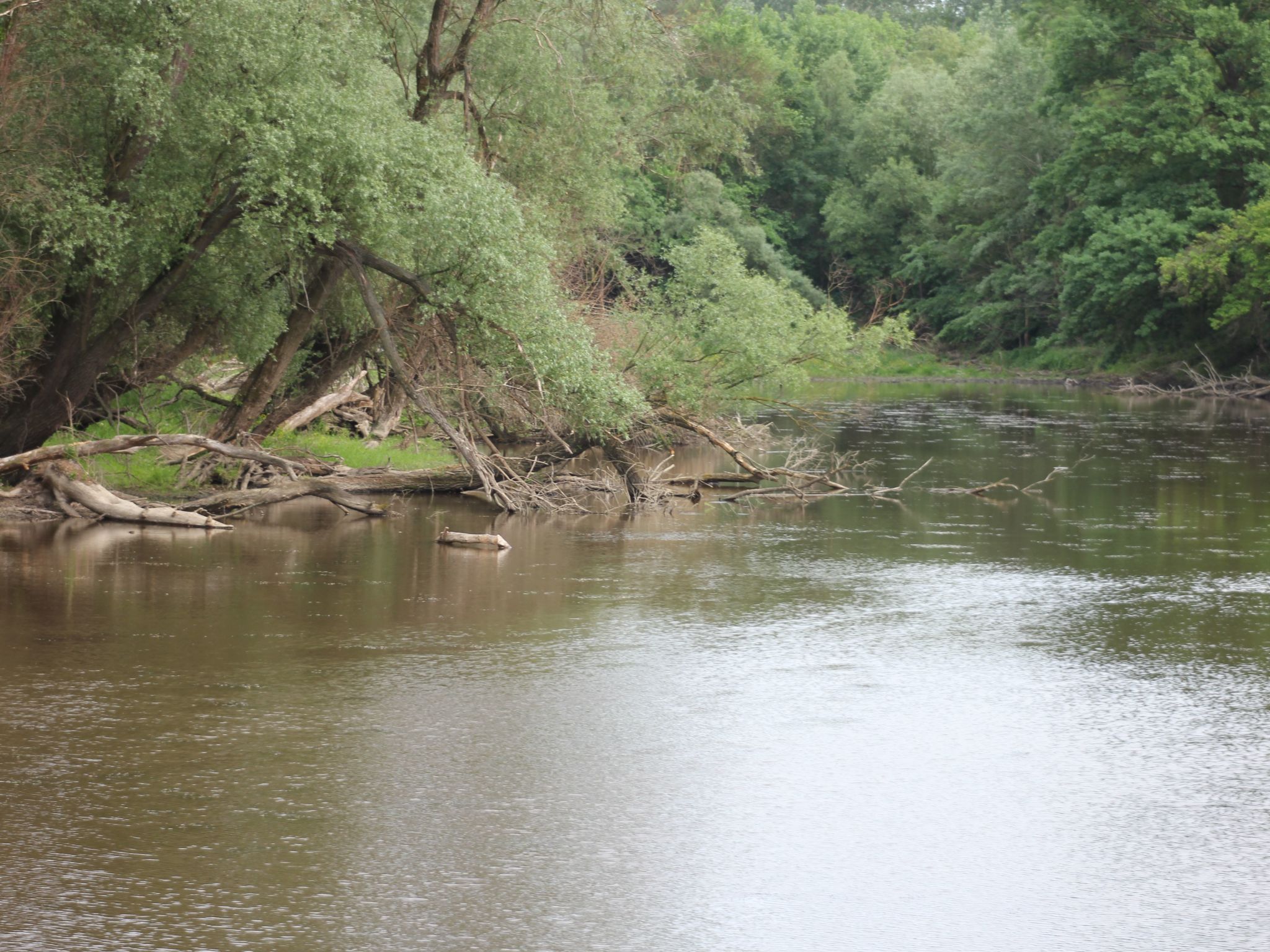 In Angern an der March-Buiten