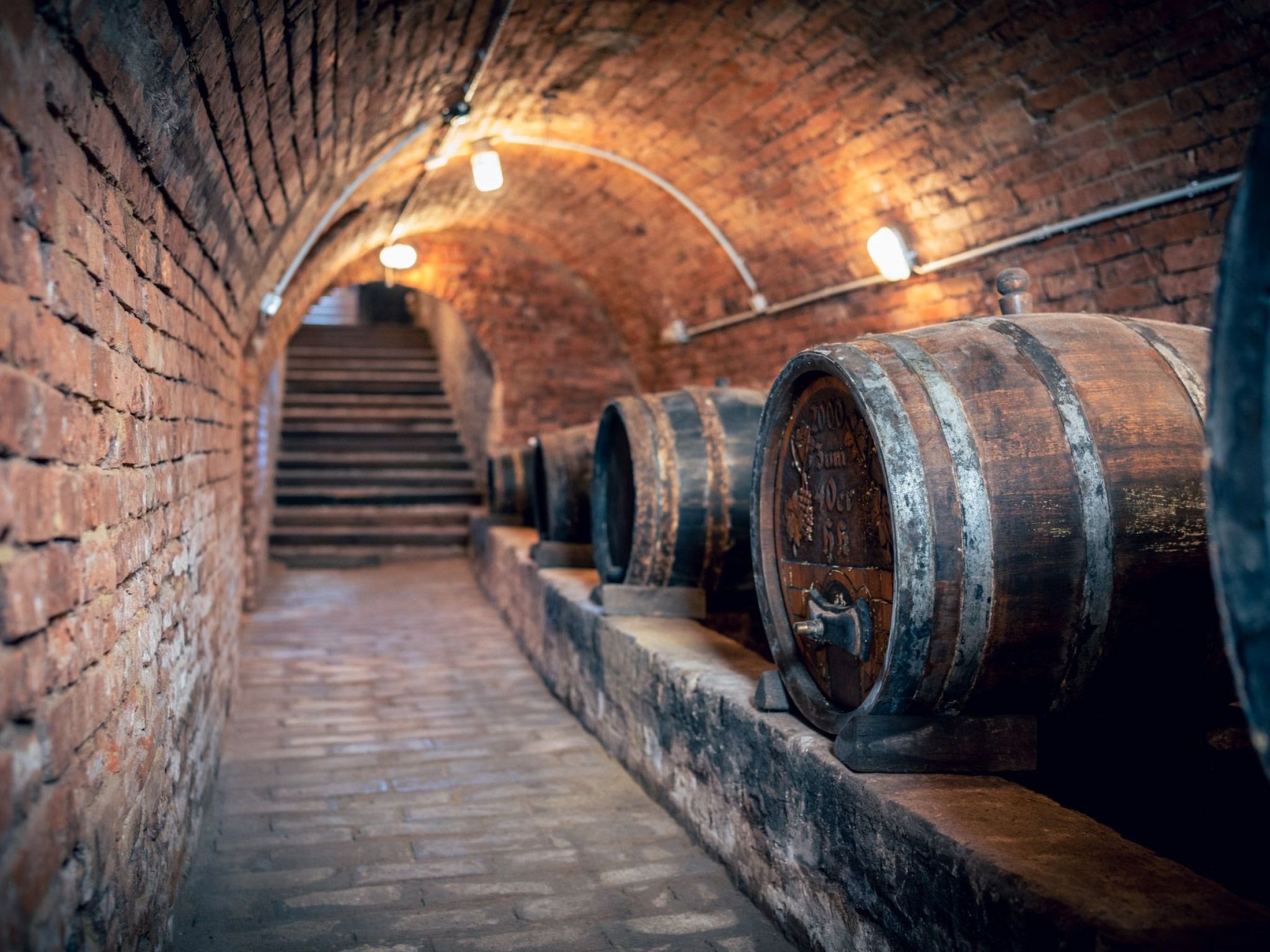 Weinfass-Chalet für 4 in Grub an der March-Buiten