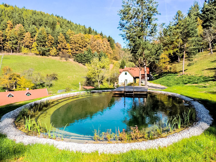 Feichtinger