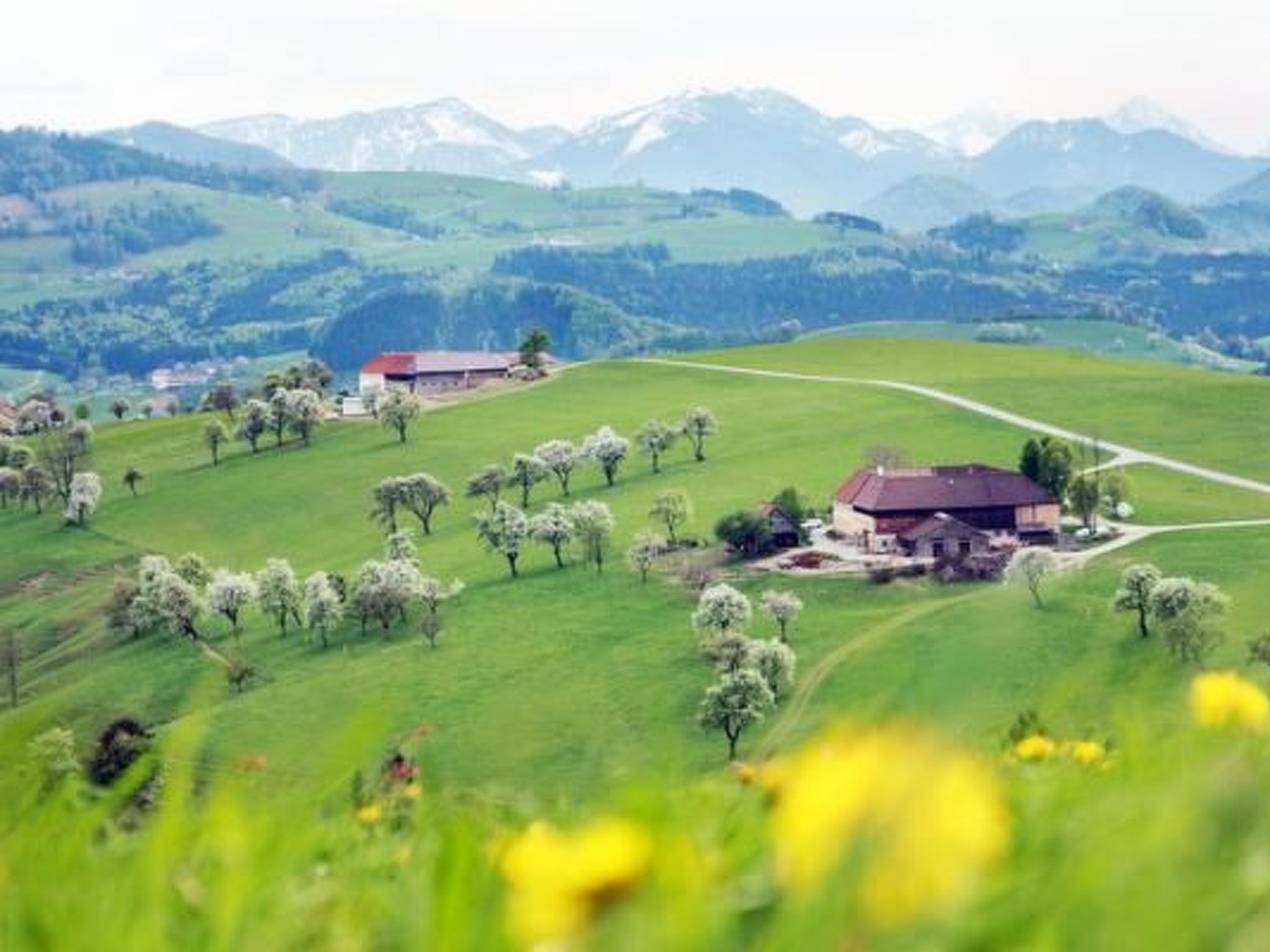 FEWO Gartenblick-Binnen