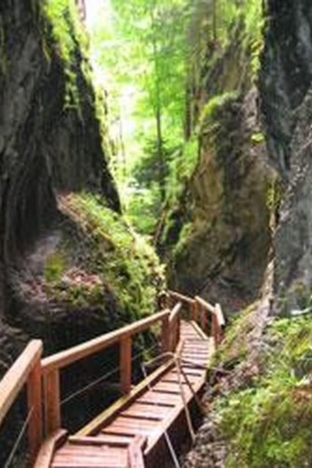 FEWO Gartenblick-Binnen