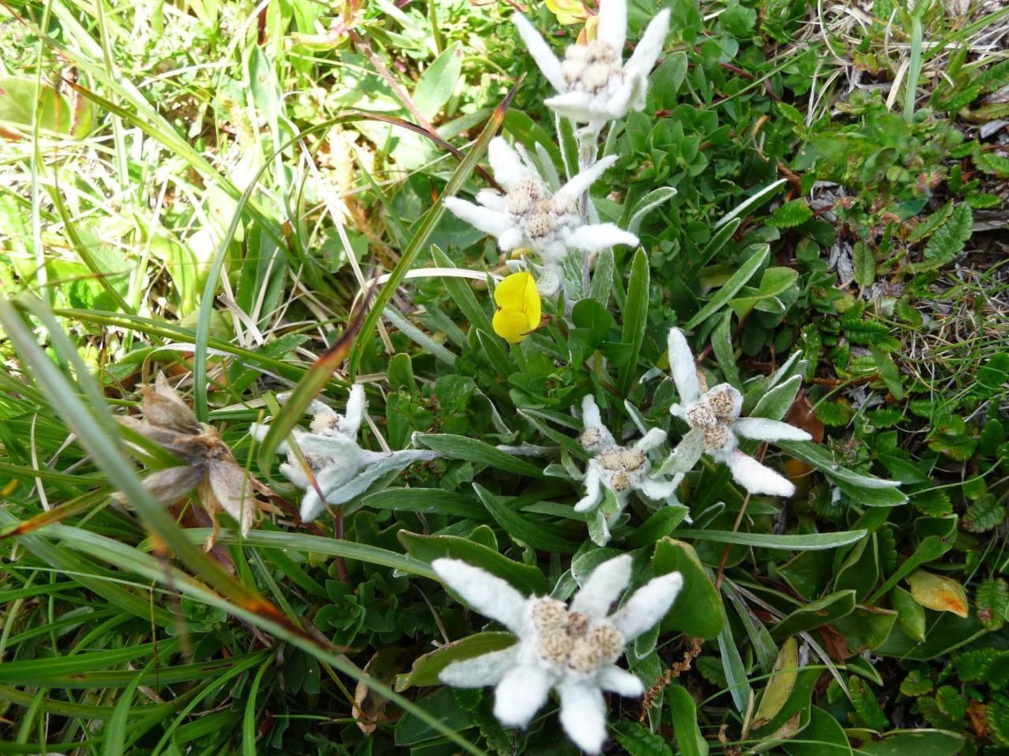 FEWO Gartenblick-Binnen
