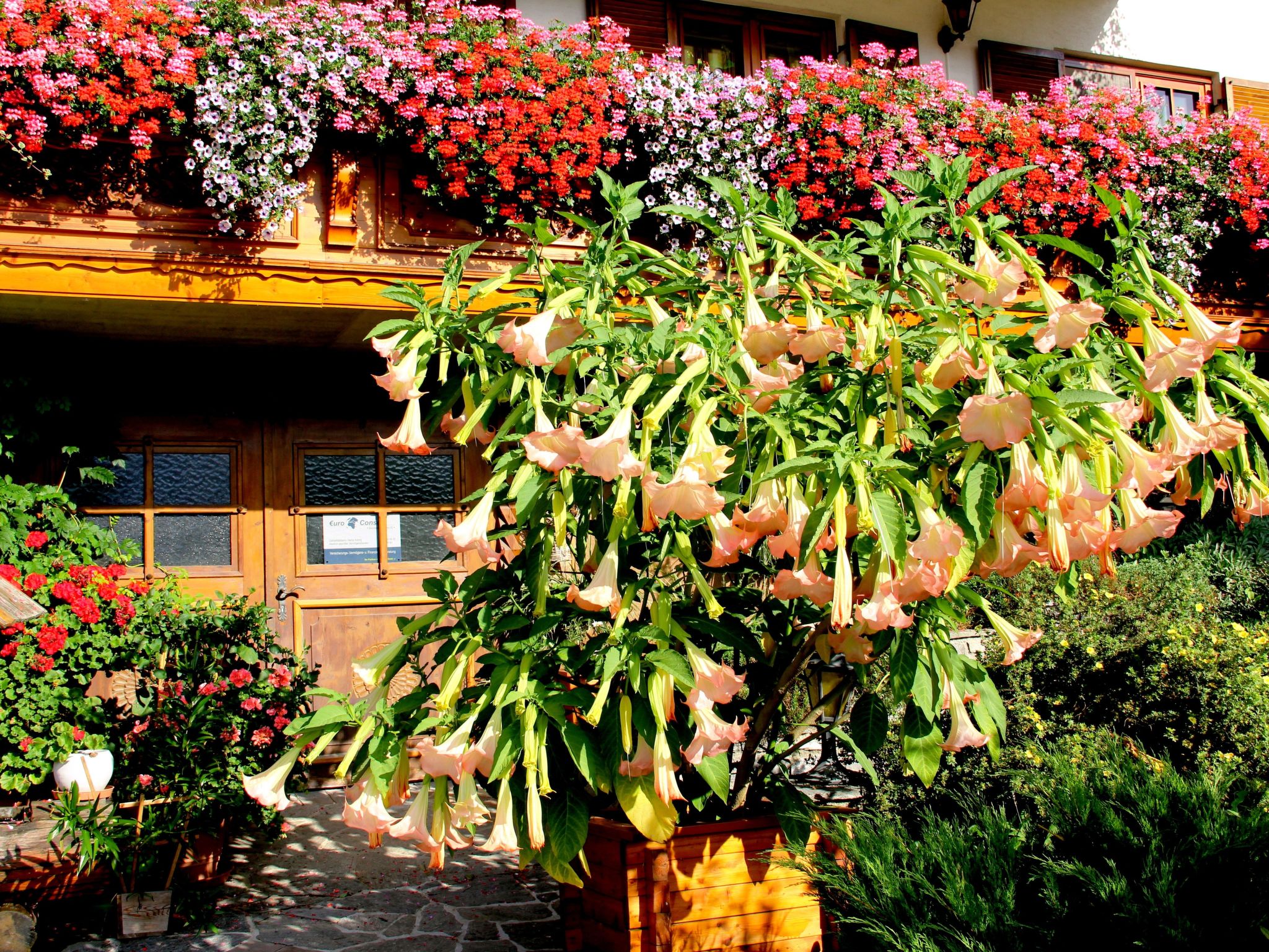 Haus König FEWO-Binnen