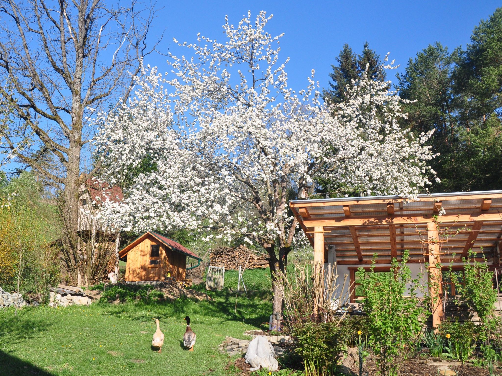 Haus König FEWO-Binnen