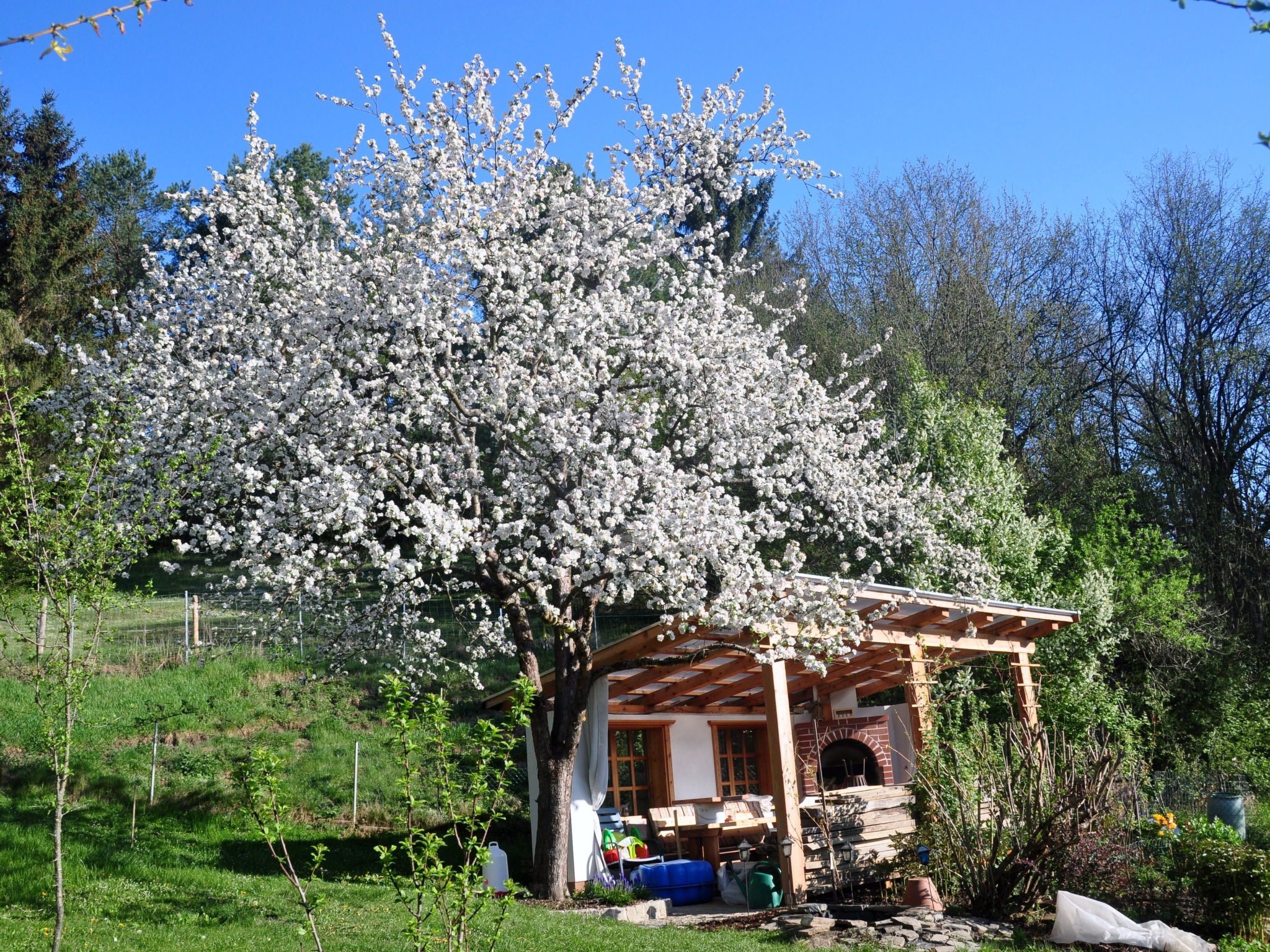 Haus König FEWO-Binnen