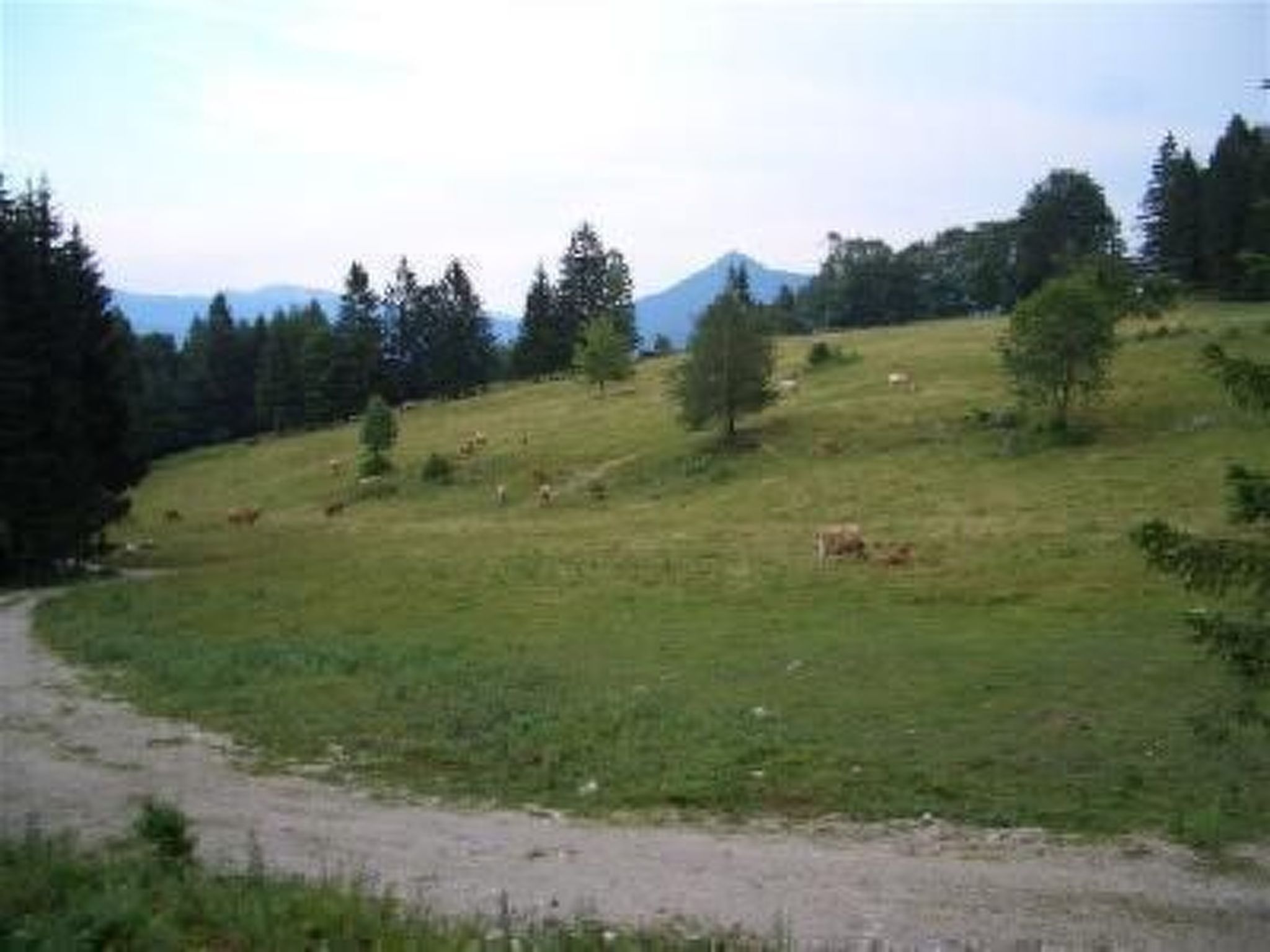 Haus König FEWO-Binnen