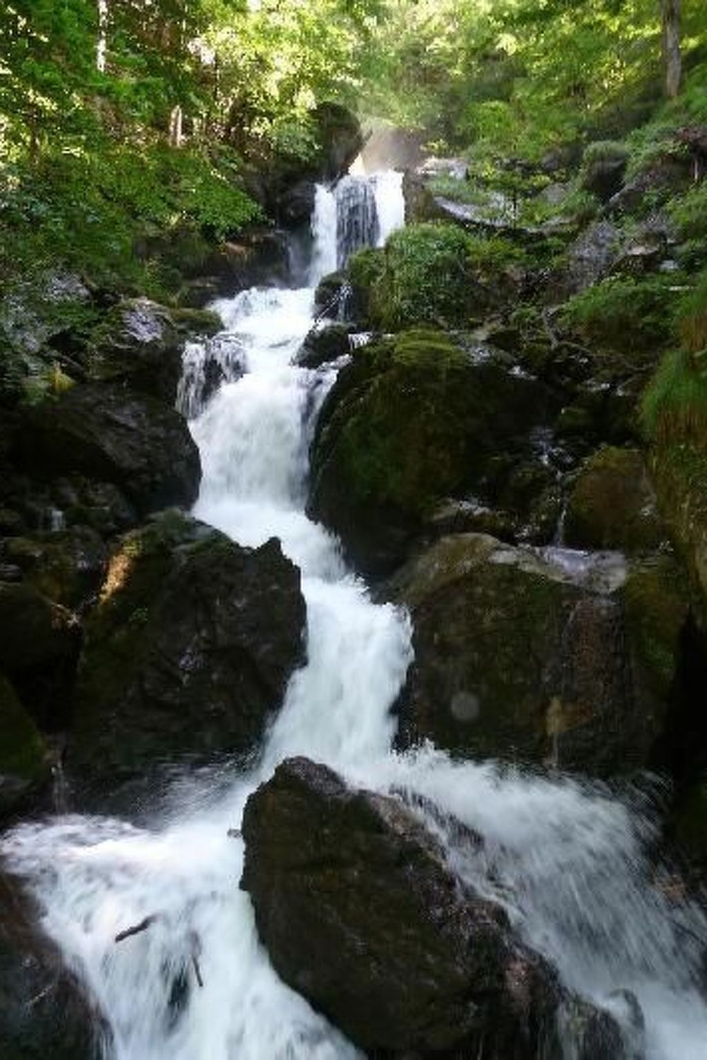 Haus König FEWO-Binnen