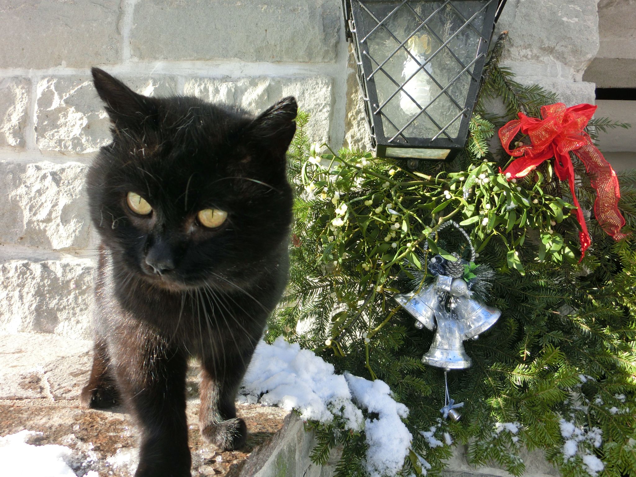 Eulenrast in Loich-Binnen