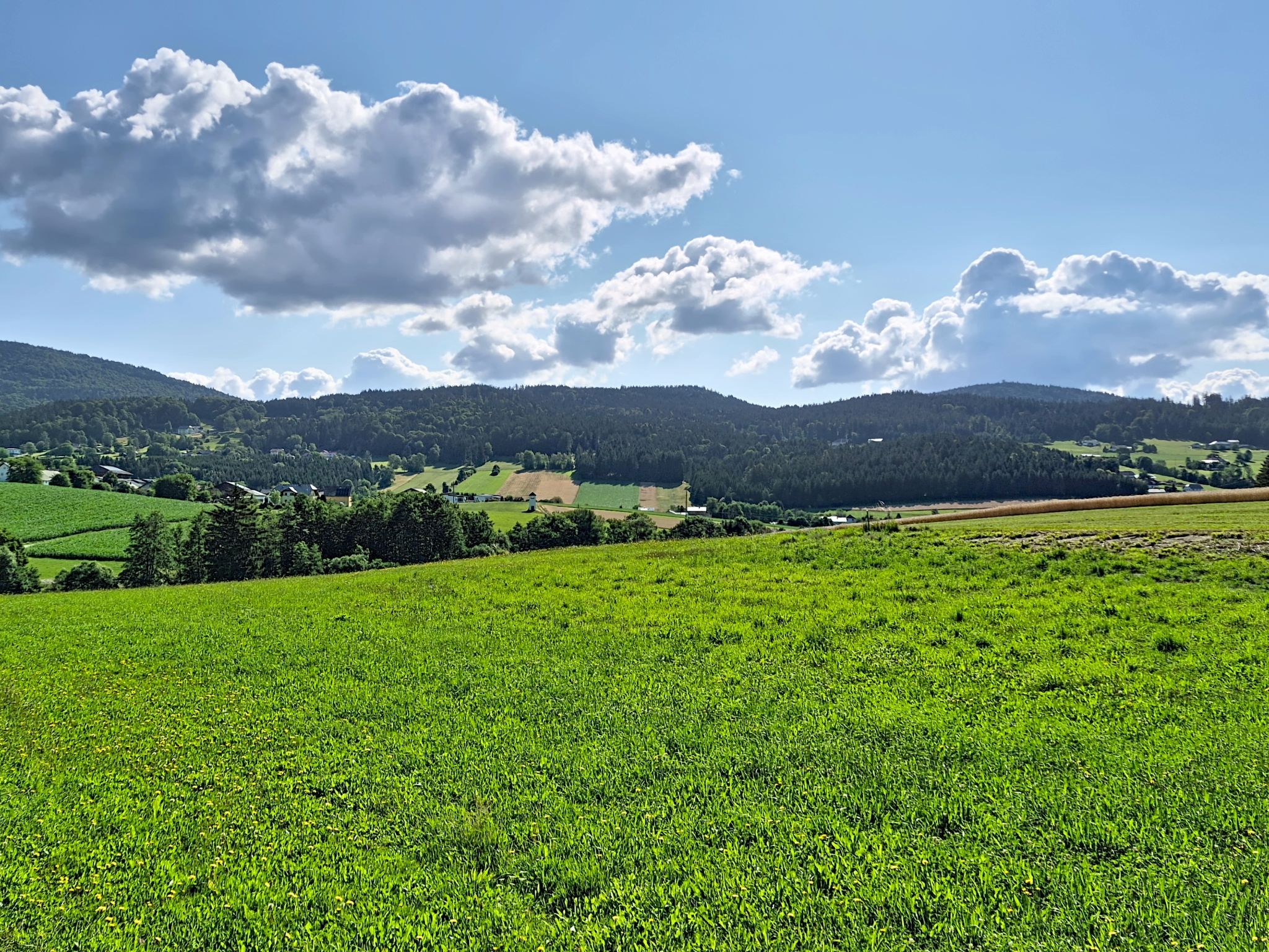 Böhmerwald Pur2 - Umgebung