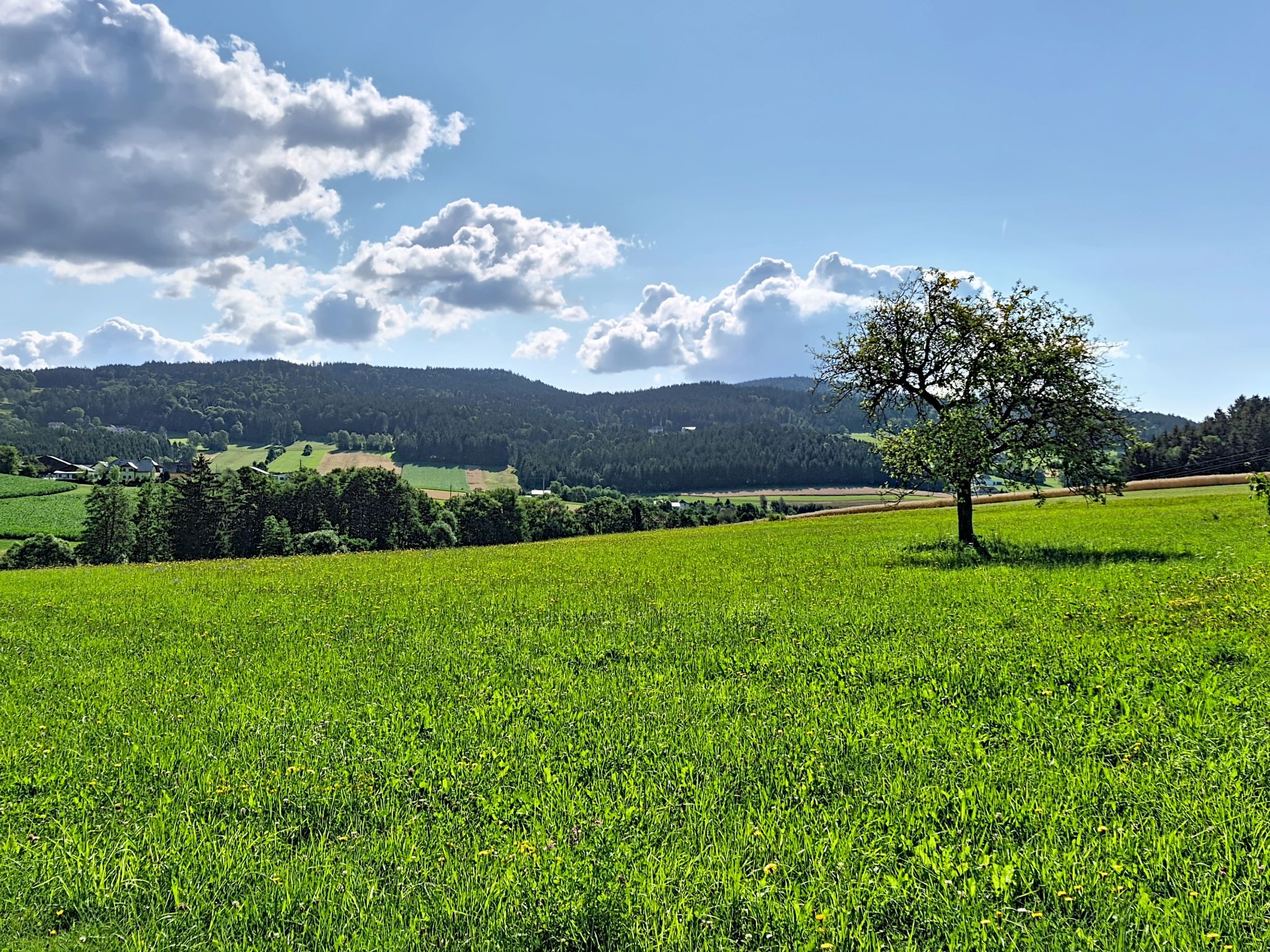 Böhmerwald Pur2 - Umgebung