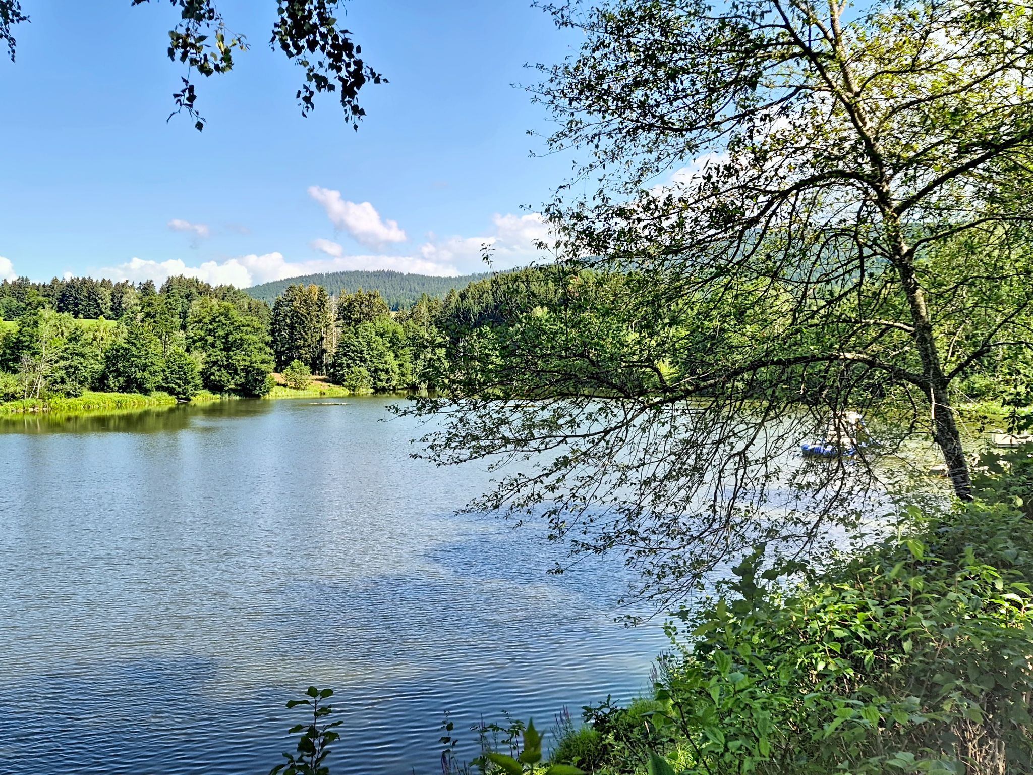 Böhmerwald Pur2 - Umgebung