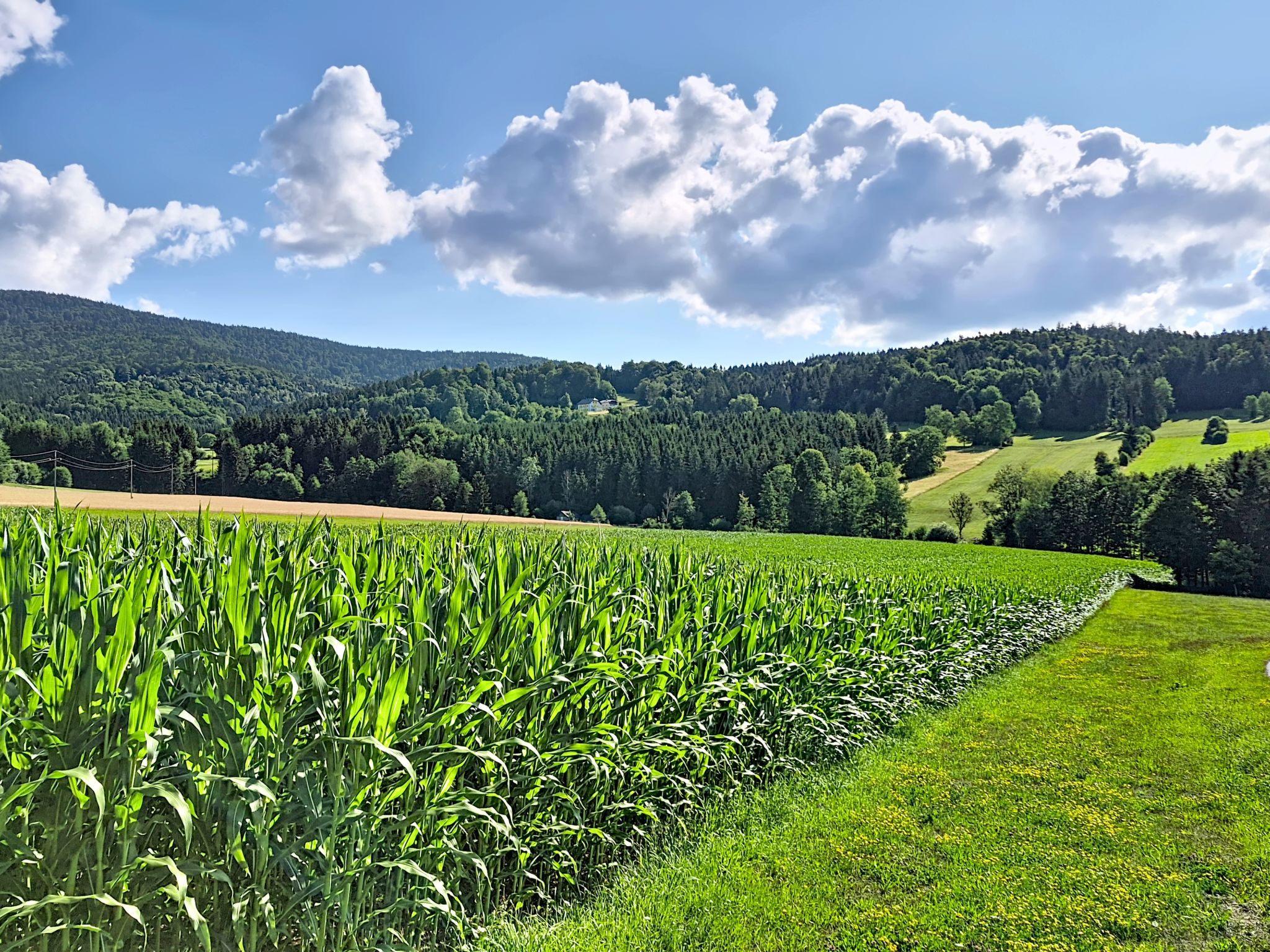 Böhmerwald Pur2 - Umgebung