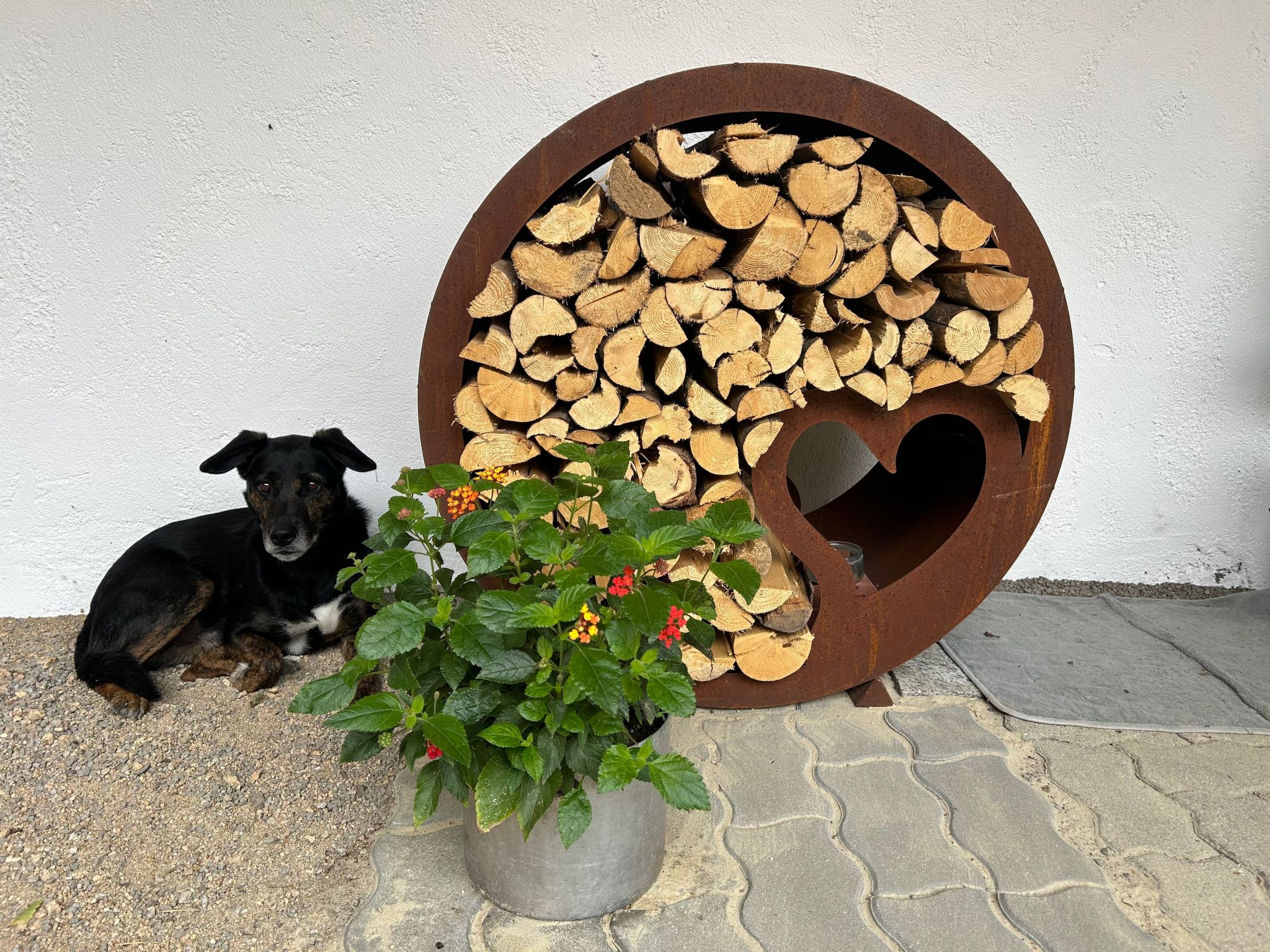 Wandlhof Ferienwohng