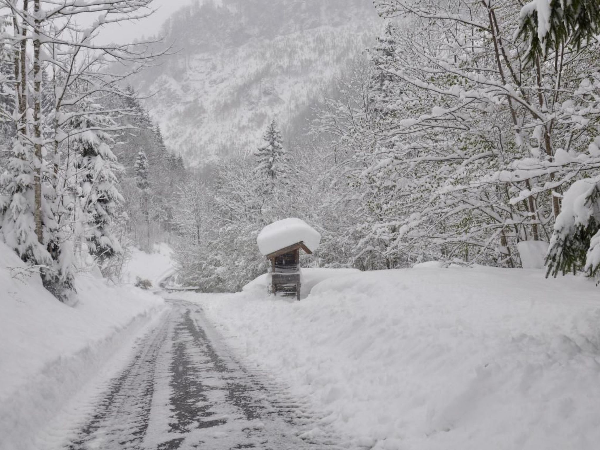 Flössersteighütte-Image-tags.info