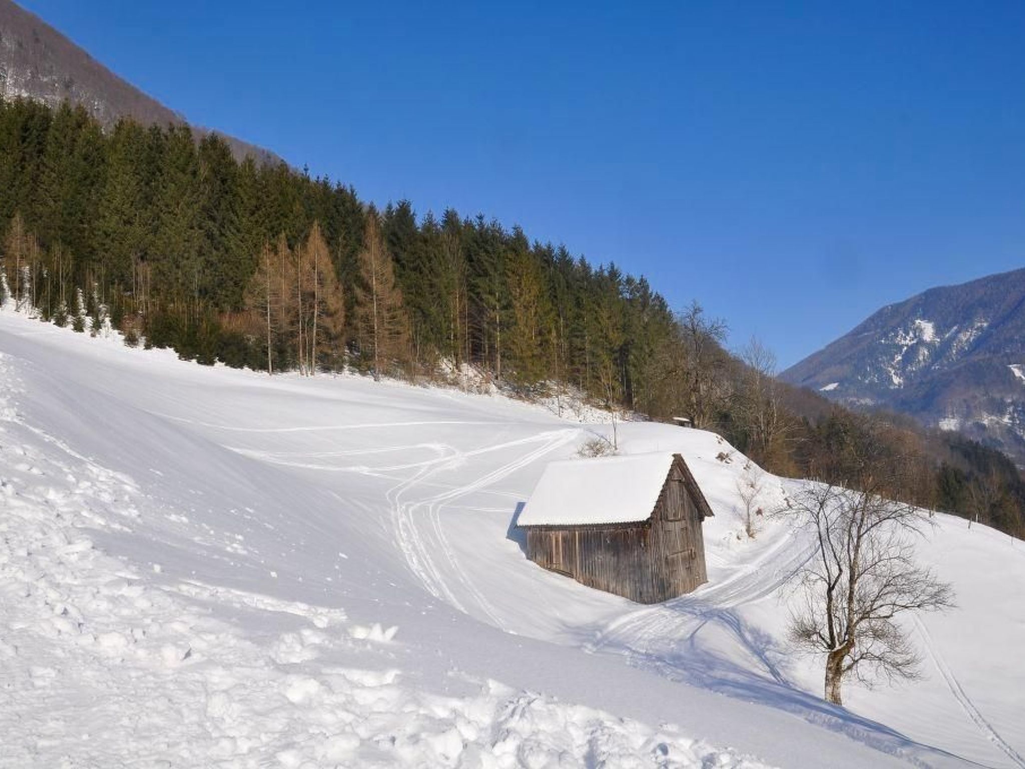Flössersteighütte-Image-tags.info