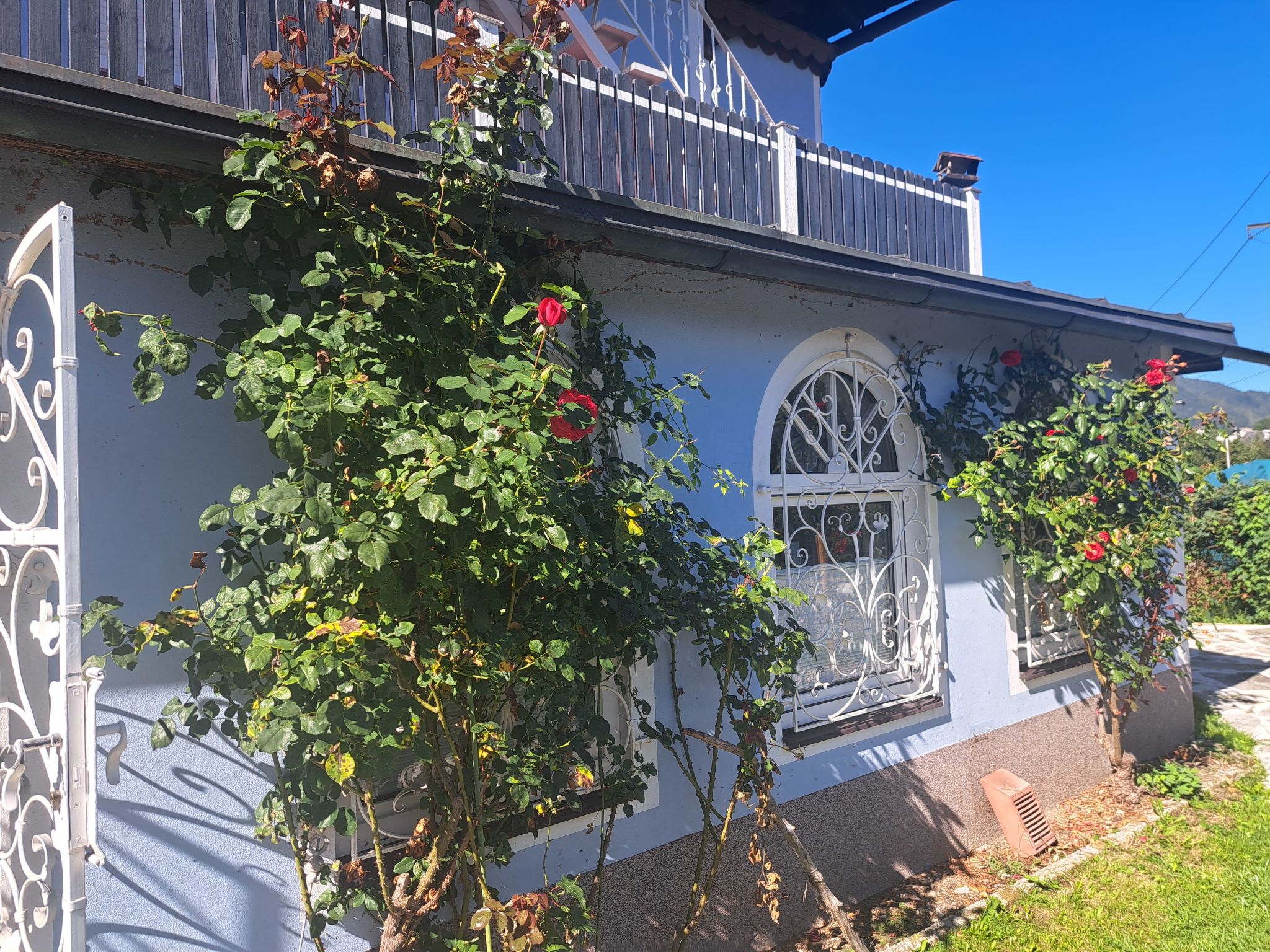 Villa Rose-Buiten