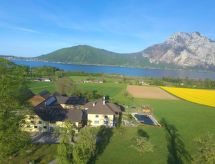 Vrijstaande vakantiewoning Sonnstein nabij de Traunsee met sauna en zwembad - thumbnail 1