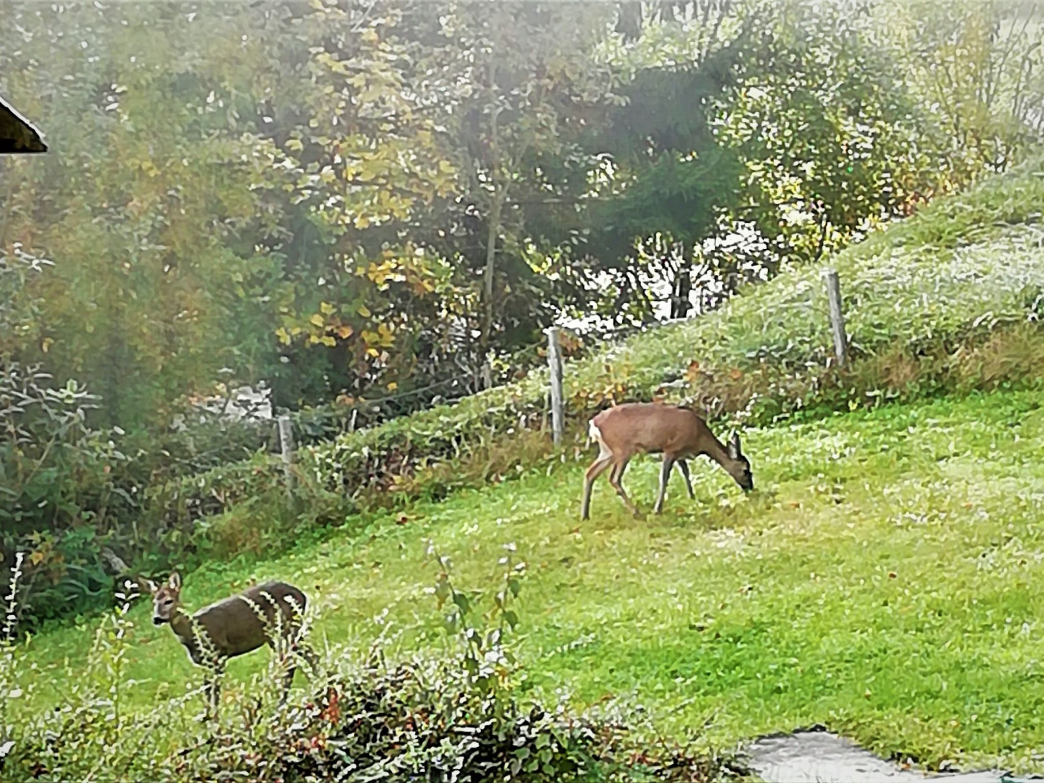 Haus Traunsee-Blick-Inside
