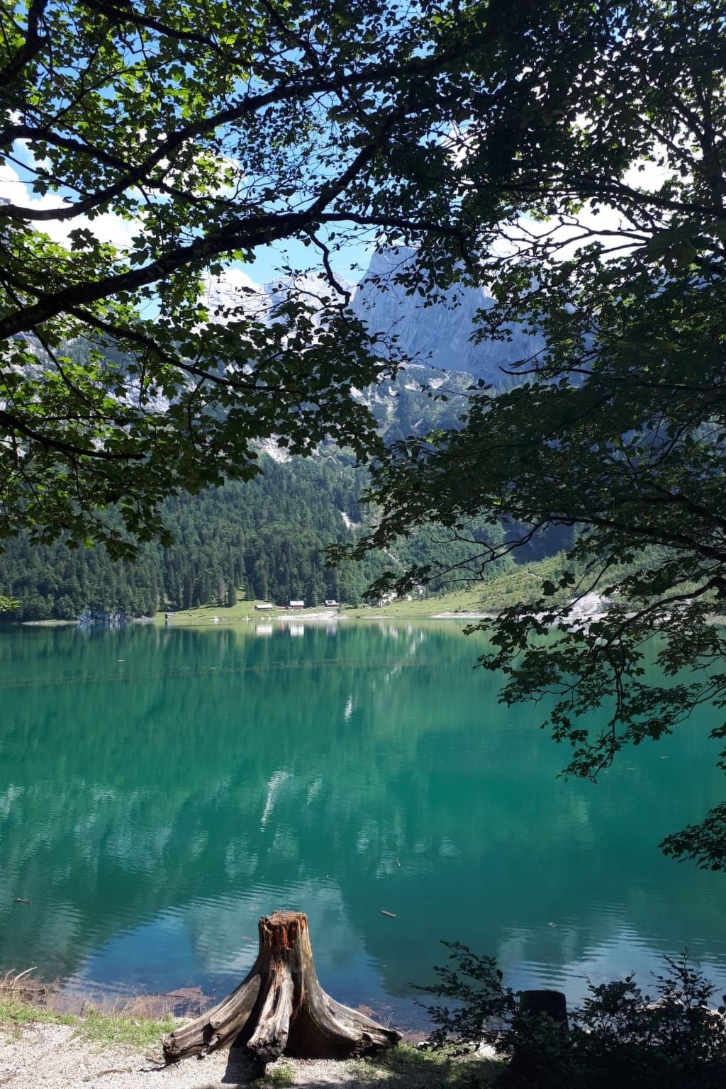 Deluxapartment Simon-Binnen