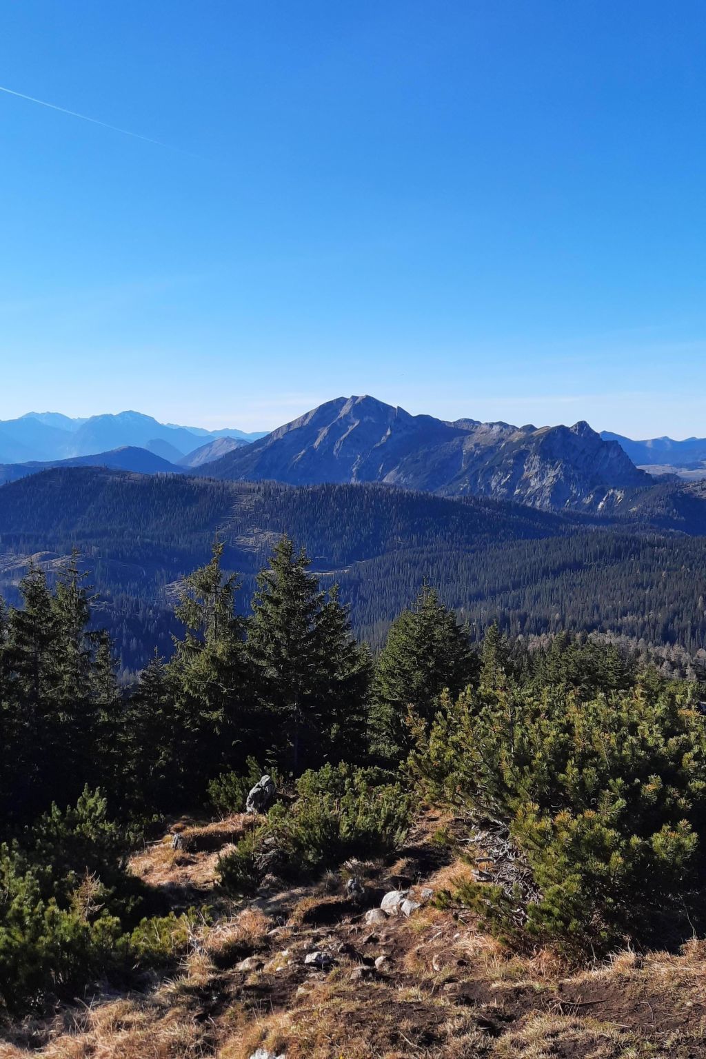 Deluxapartment Simon-Binnen