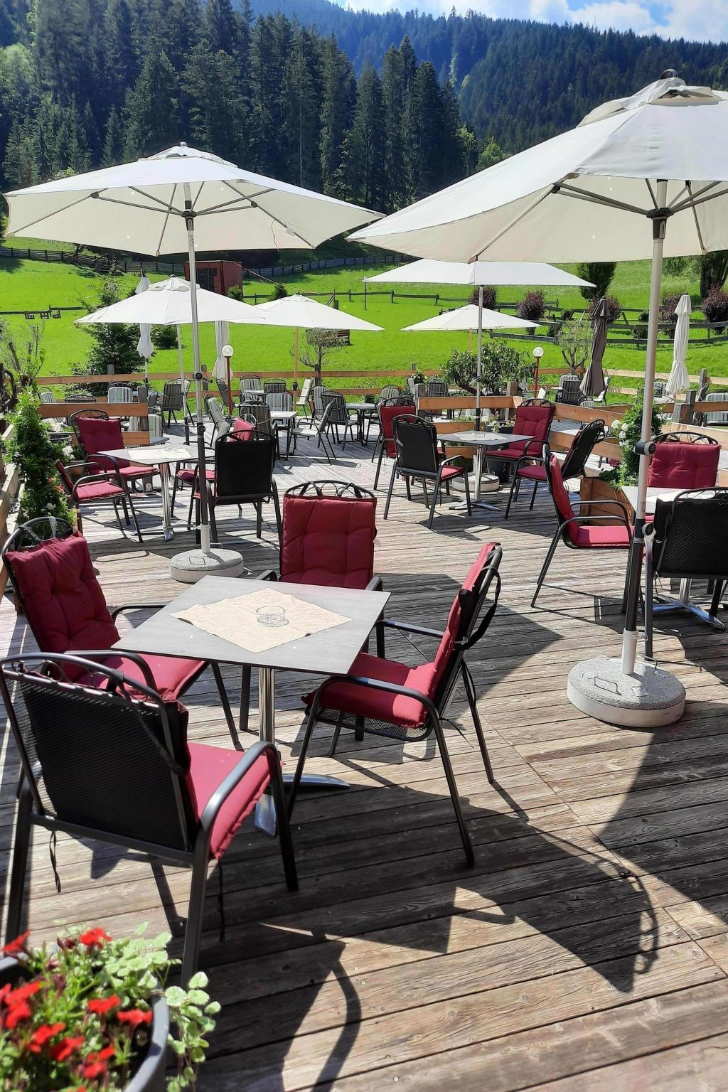 Apartment Daniel-Dedans